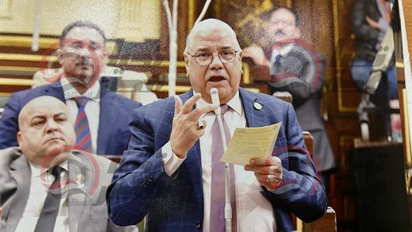 النائب محمود الصعيدي