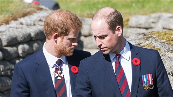 الأمير هاري وشقيقه