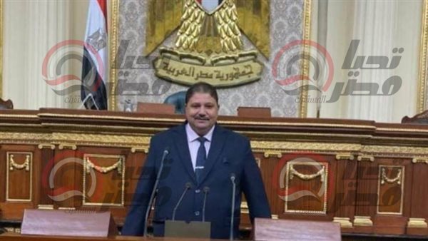 النائب عاطف كعربان