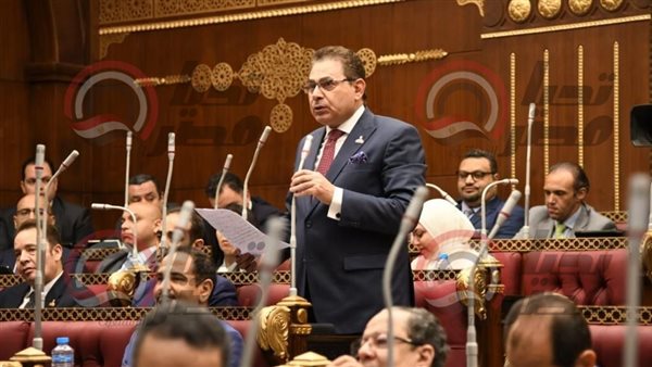 النائب فرج فتحي فرج