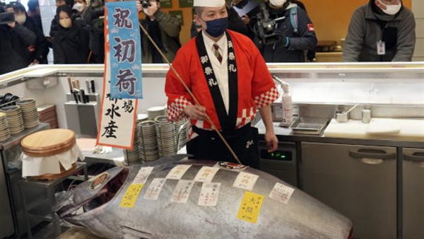 مزاد لبيع سمكة التونة