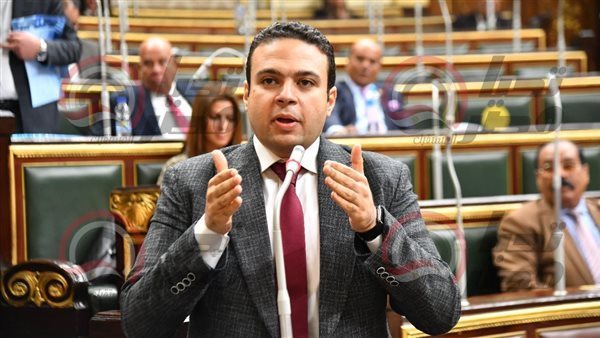 النائب عبدالمنعم