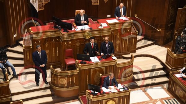 مجلس الشيوخ 