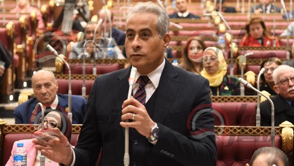 حسن شحاتة وزير القوي