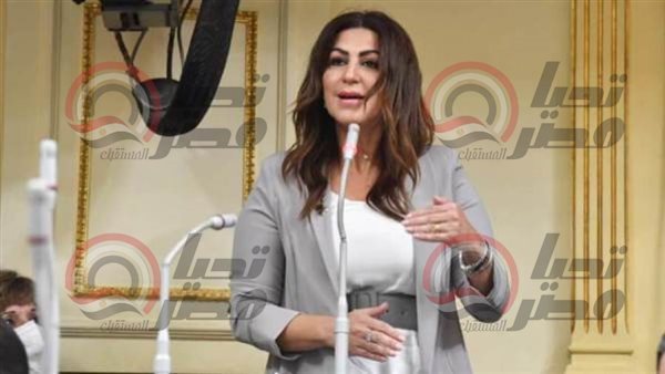 النائبة دينا عبد