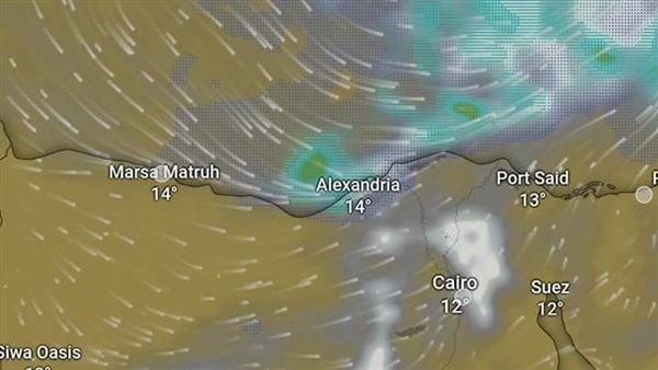 سقوط الأمطار 