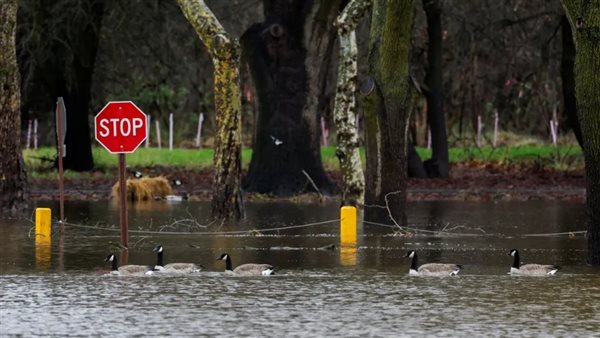 فيضانات فى كاليقورنيا