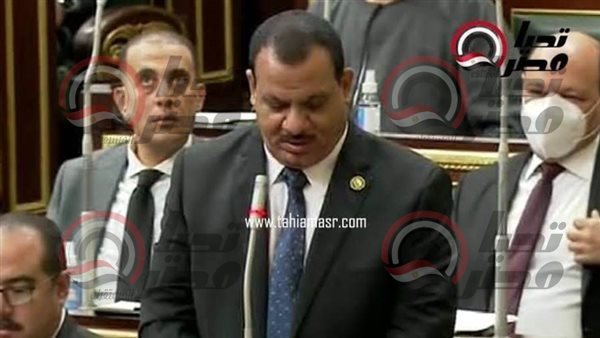 النائب صفوت النجار