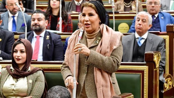 النائبة صبورة السيد