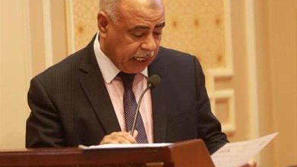 النائب عبد النعيم