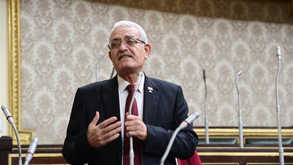 النائب عاطف مغاورى