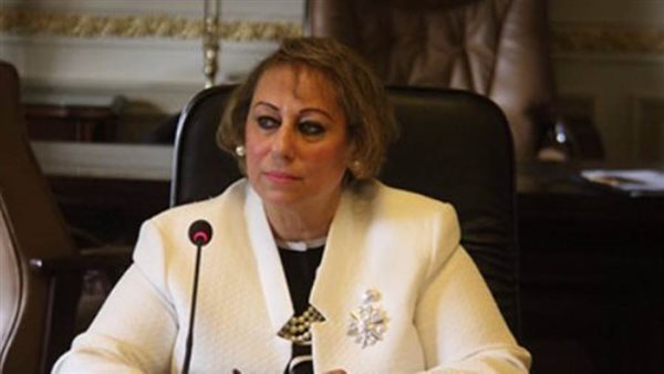 النائبة ميرفت إلكسان