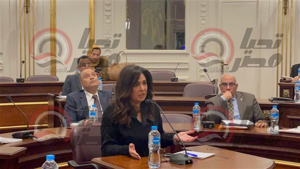 النائبة البرلمانية