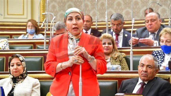 النائبة هالة ابو