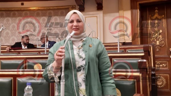 النائبة عفاف زهران