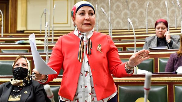 النائبة هالة أبو