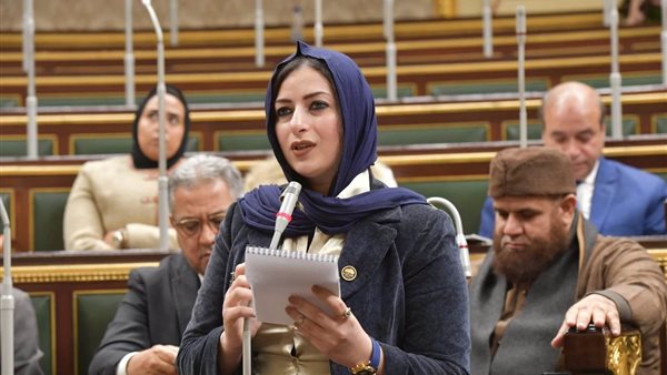 النائبة آيات الحداد