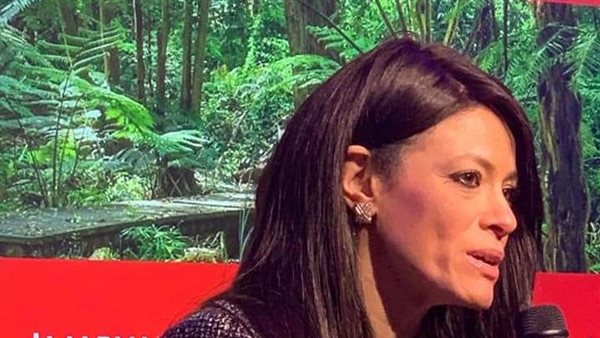 وزيرة التعاون الدولى