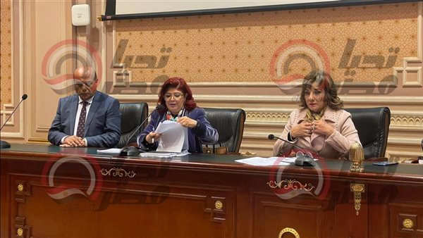 لجنة السياحة والطيران