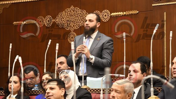 النائب محمود تركي