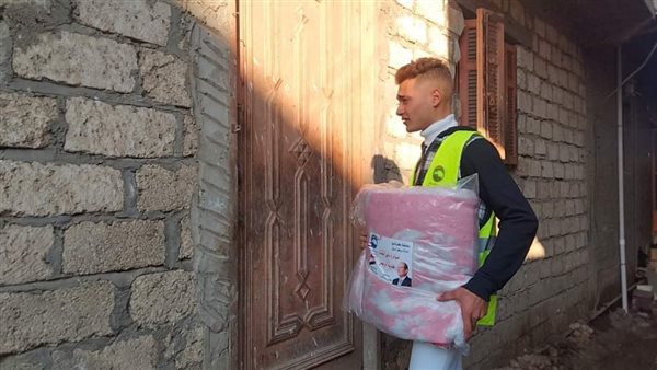 حزب مستقبل وطن