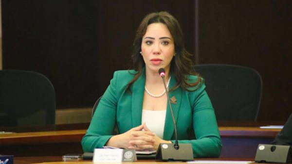 النائبة غادة علي