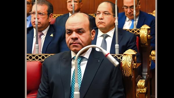  النائب عمرو القماطي