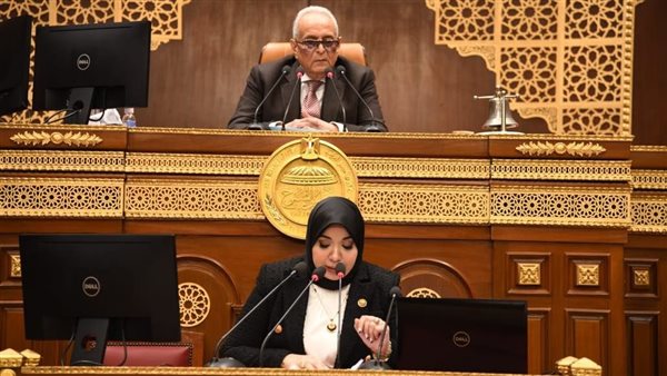 الدكتورة دينا هلالى