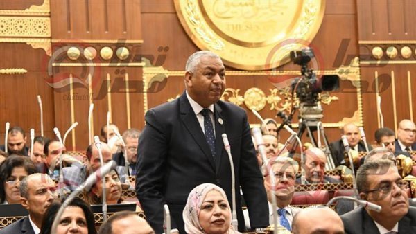 النائب محمود بكري