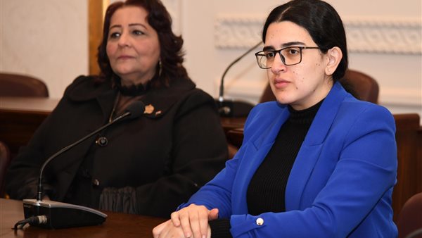 النائبة روان لاشين