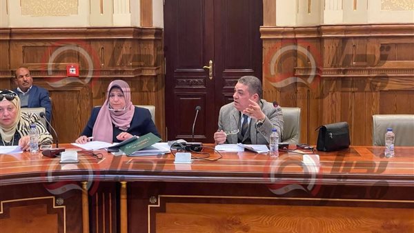  لجنة الإدارة المحلية