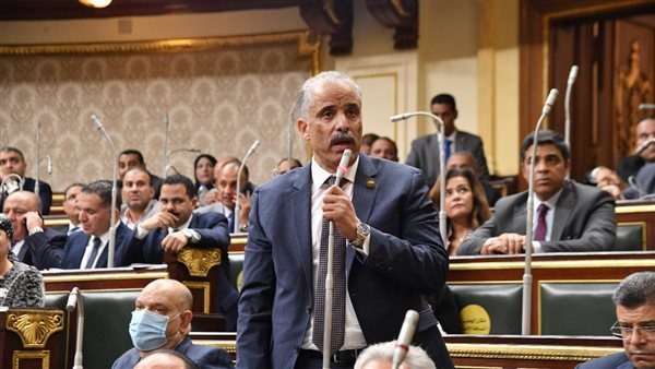 النائب عيد حماد