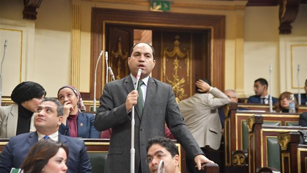 النائب عمرو درويش