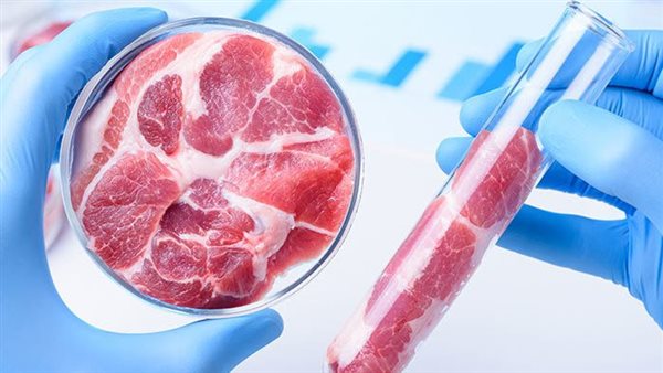  استزراع اللحوم 