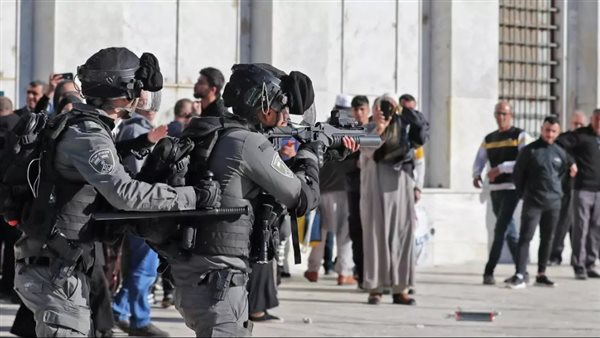 عناصر من القوات الإسرائيلية