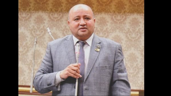 النائب مجدى الأمير