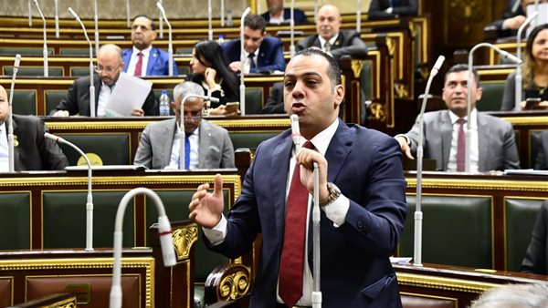 النائب محمود شعلان