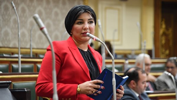  النائبة رشا أبو