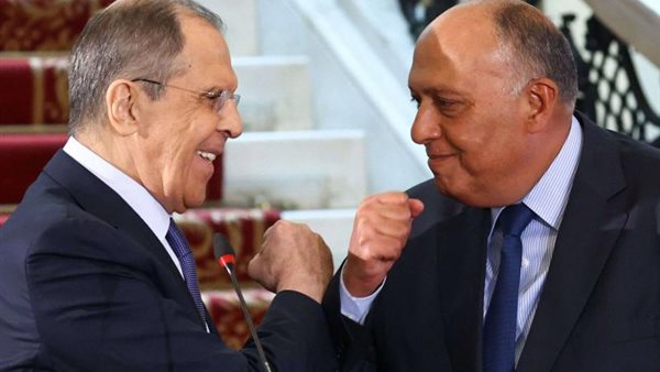 وزير الخارجية المصري