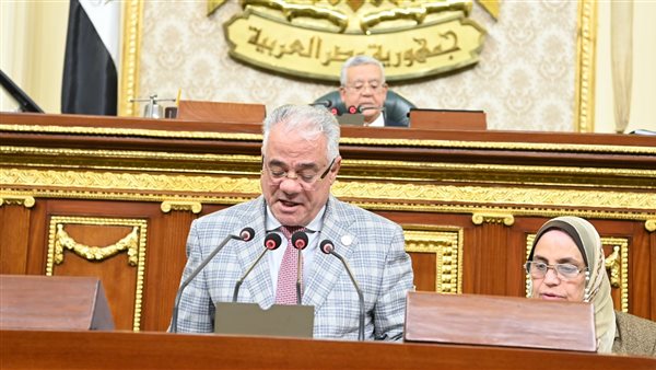 النائب صقر عبد الفتاح