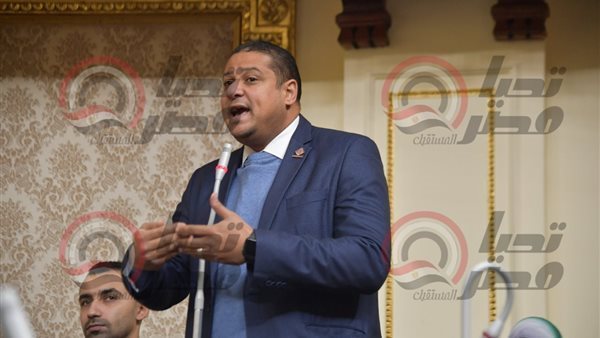 النائب محمد إسماعيل