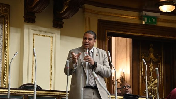 النائب محمد إسماعيل