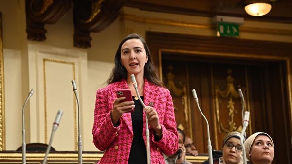 النائبة هادية حسني