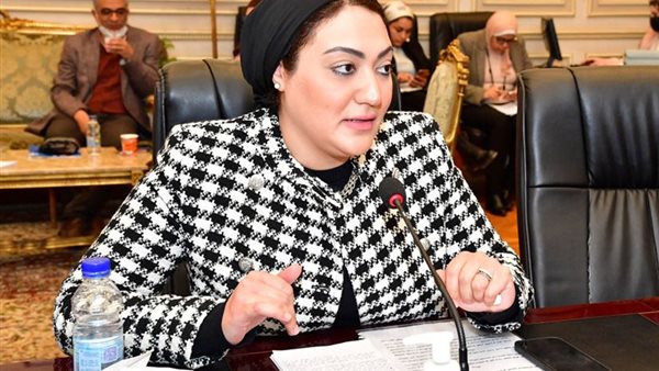 النائبة أسماء الجمال