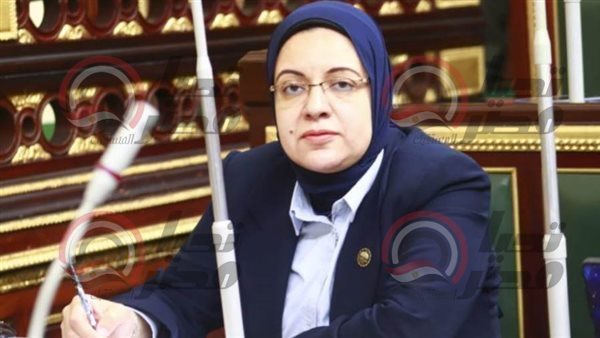 النائبة ريهام عبدالنبي