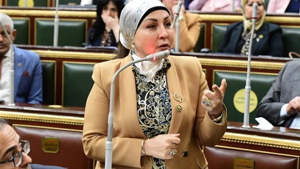  النائبة هالة أبو