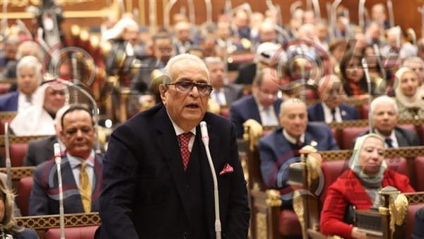 المستشار بهاء أبوشقة