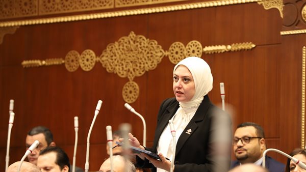 النائبة نهي أحمد