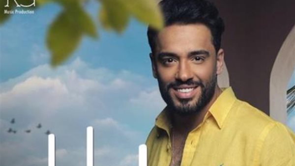 رامي جمال _ أرشيفية