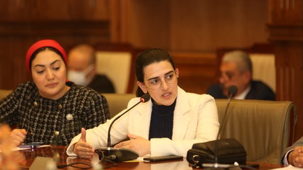 النائبة روان لاشين